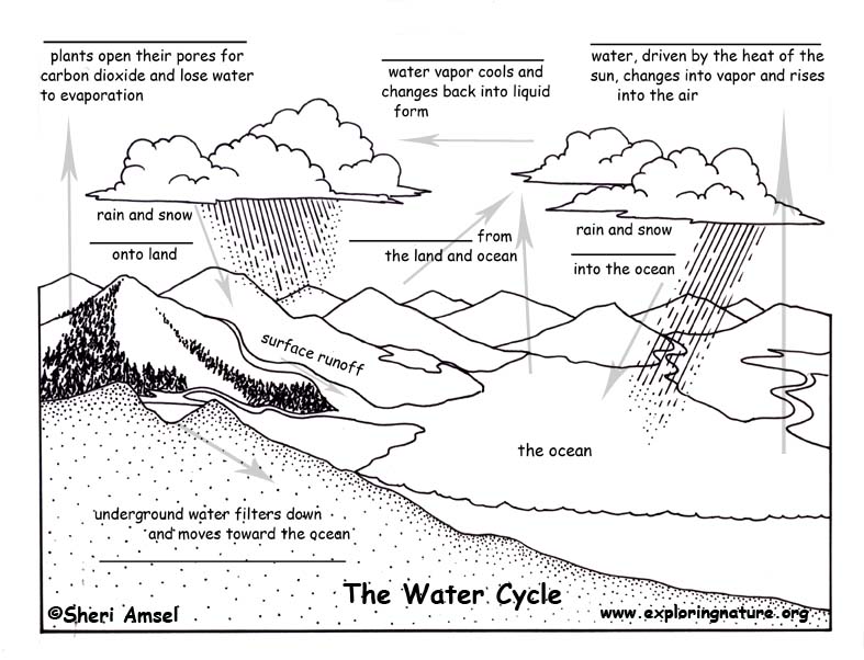 water cycle gizmo worksheet answer key